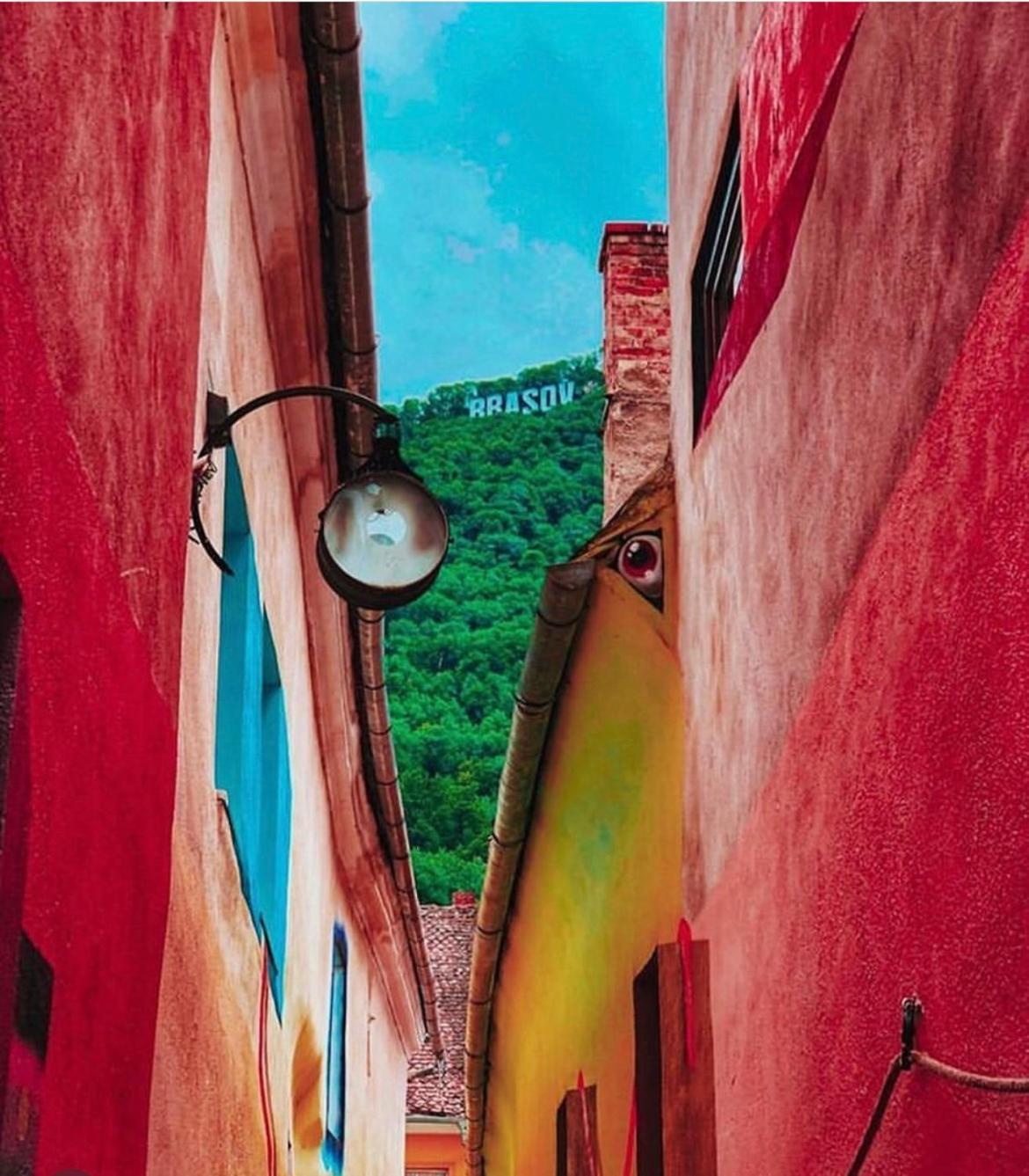 Tree House-Old Town Brasov Daire Dış mekan fotoğraf